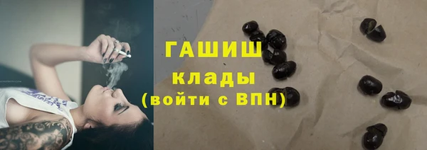 индика Абинск