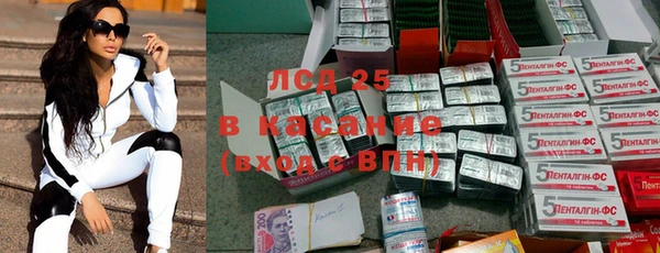 индика Абинск
