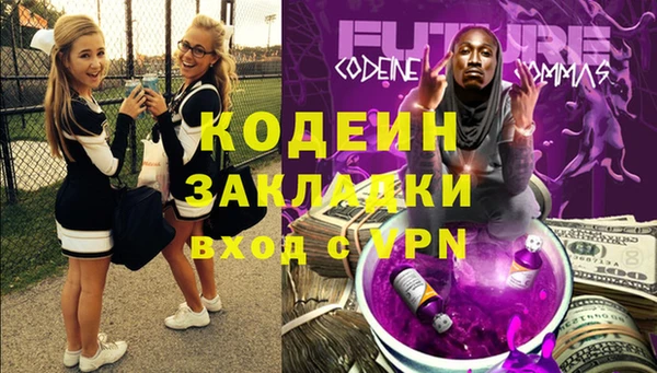 индика Абинск