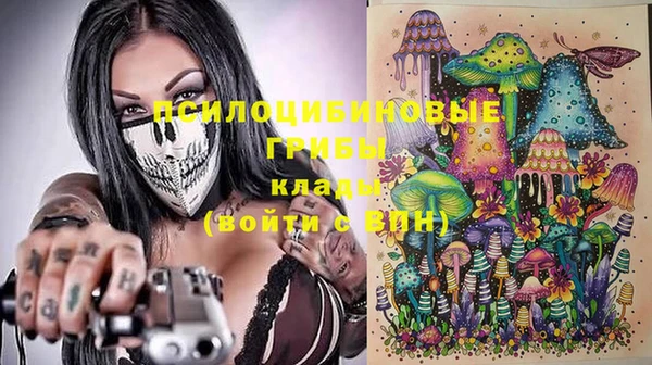 индика Абинск
