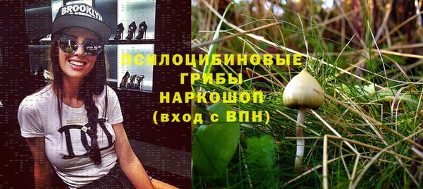 индика Абинск